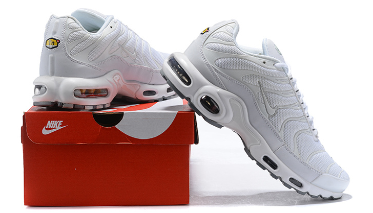 Nike Air Max Plus White