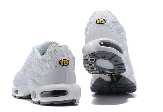 Nike Air Max Plus White