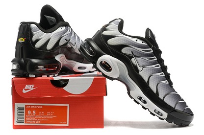 Nike Air Max Plus Black Silver White