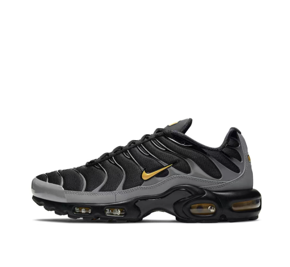 Nike Air Max Plus Cool Grey Black Champs Sports