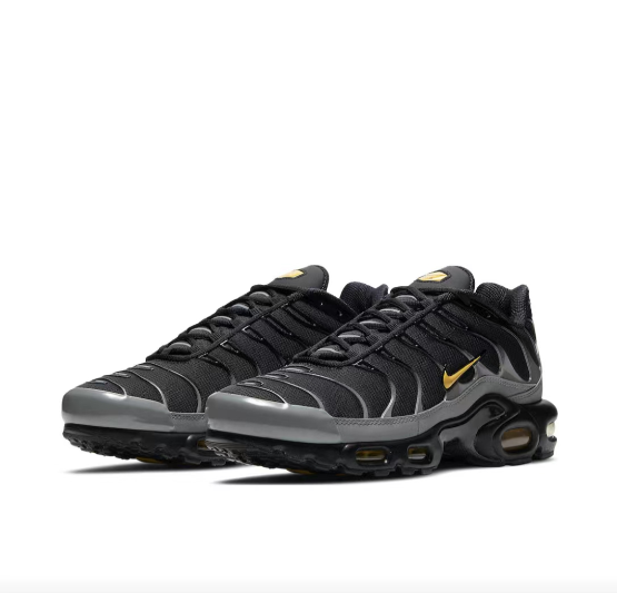 Nike Air Max Plus Cool Grey Black Champs Sports